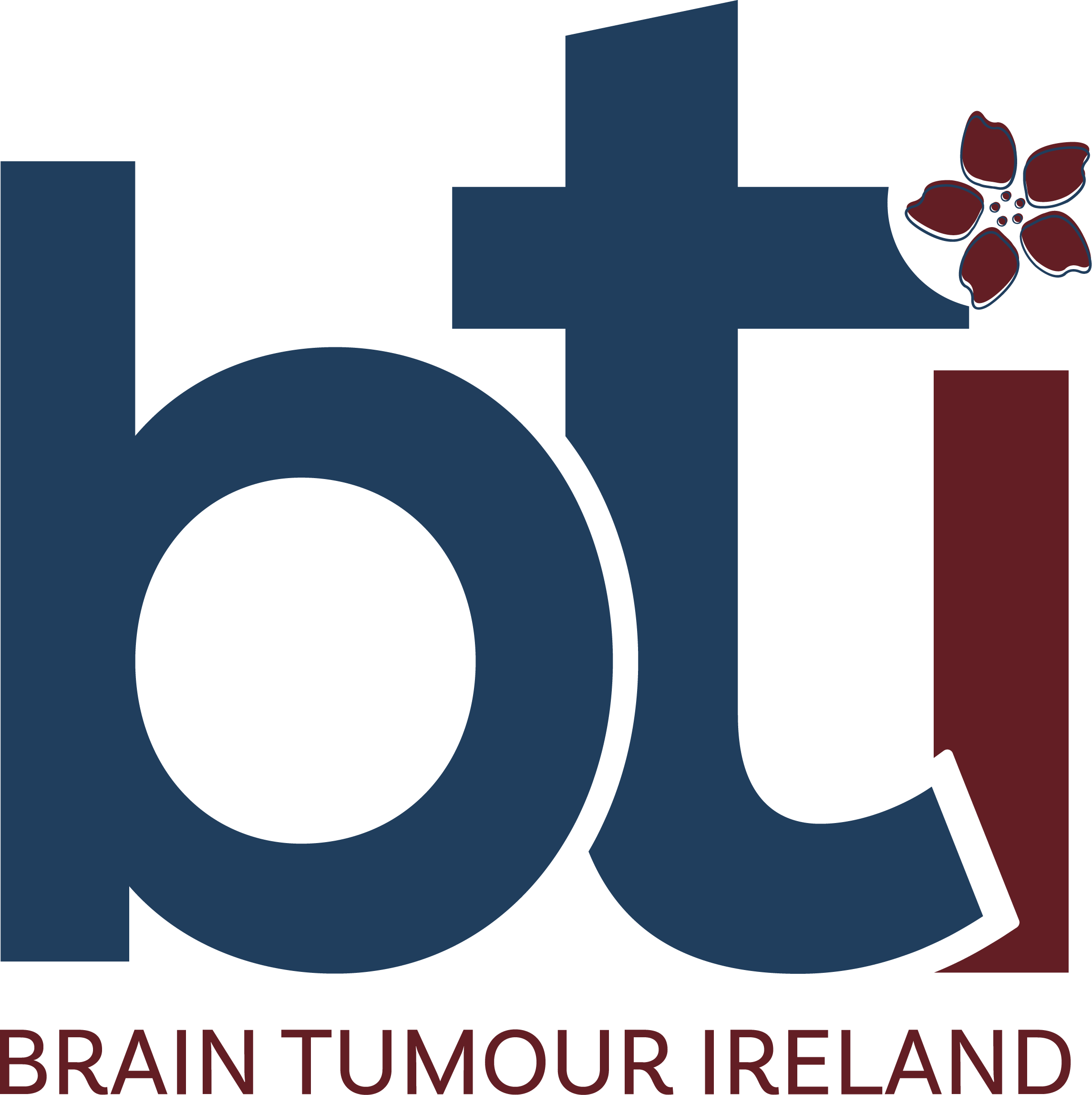 Brain Tumour Ireland logo